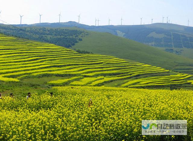 打造崇礼生活新空间