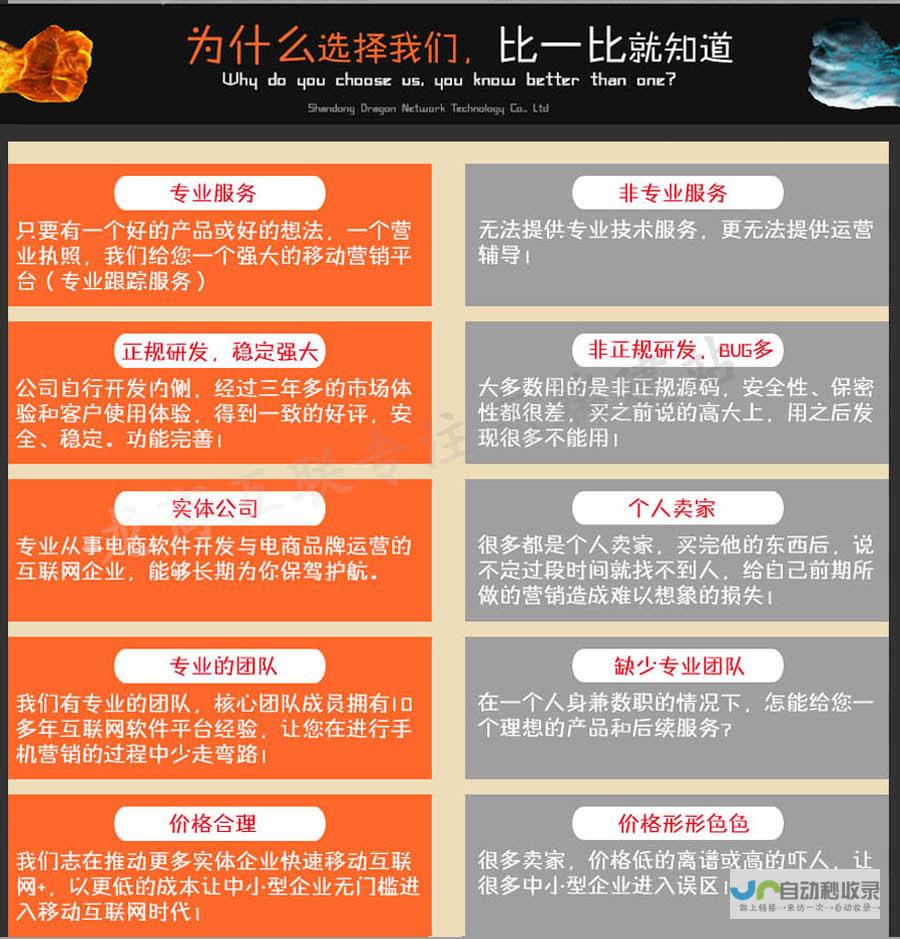 定制开发：从概念到部署，打造您独特的在线体验。