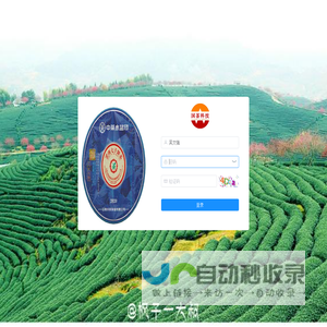 国茶指数