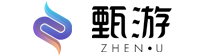 甄游网络